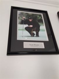 Tiger Woods Signed Print