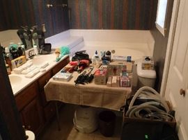 A nice array of Health and Beauty items in the master bathroom. We do keep a bathroom open for our shoppers it's only proper to do!