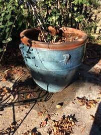 Fabulous pots for the garden