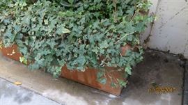 Rectangular Planters with Plants