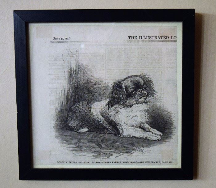 Framed Ad from June 16, 1861; Pekingese