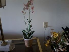 Artificial Plant with vase.   http://www.ctonlineauctions.com/detail.asp?id=666430