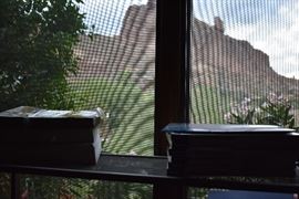 the eyelash of the Camel in the background!