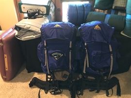 2 backpacks contain tent, sleeping bag, pad, cook stove, propane and more! 