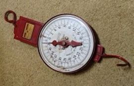 Farm Master Dairy Scale 