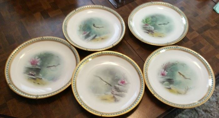 Set of Collector Plates