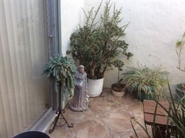 Plants, St Francis statue