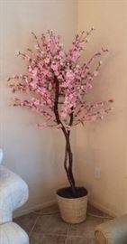 Pink Apple Blossom Tree