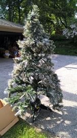 BEAUTIFUL CHRISTMAS TREE
