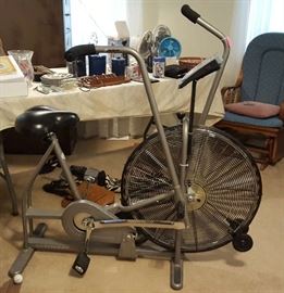 Schwinn Airdyne Exercise Bicycle