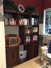 Entertainment center filled with books and albums 