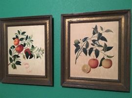 Pair of vintage designer decor botanical prints: orange and tangerine.