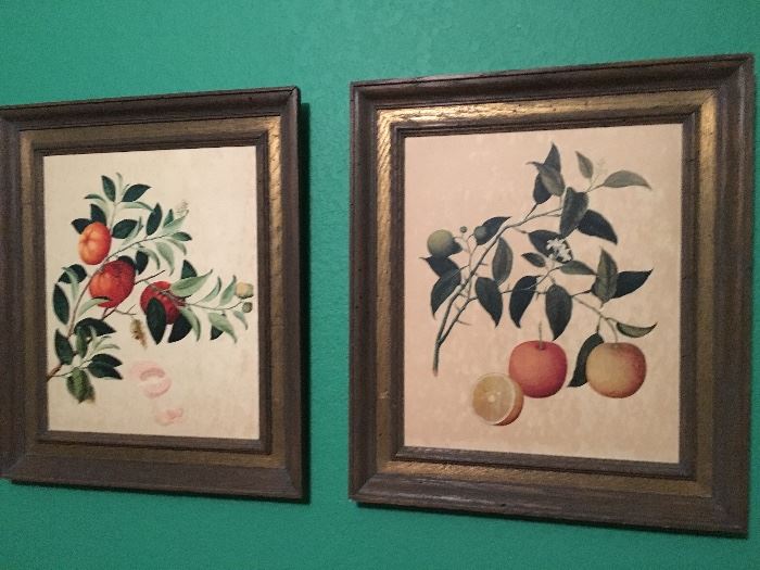 Pair of vintage designer decor botanical prints: orange and tangerine.