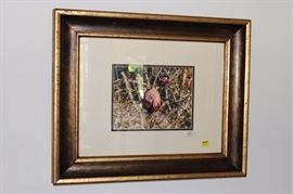Framed and matted pomegranate photograph, signed,  19" L x 23" W
