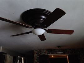 Ceiling Fan