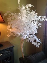 Extremely rare albino plastic tree. And we have 2!!! Unbelievable!!