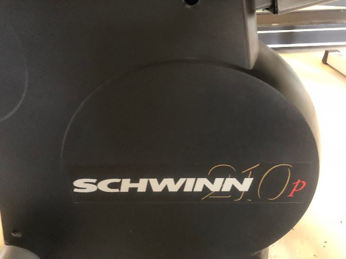 Schwinn 210P Recumbent bike