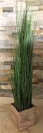 Decorative Grass