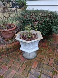 Concrete planter 