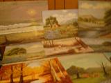 Bluebonnet scenes other scenery scenes