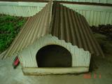 Large dog house