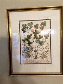 Botany Print - Framed