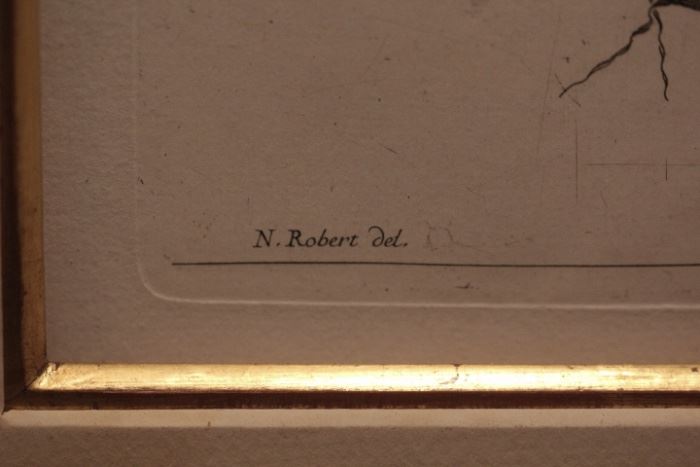 Nicolas Robert botanic print