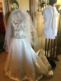 Wedding Dress - Several veils