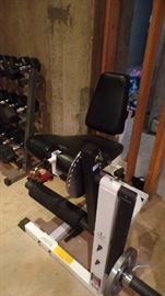 Room FULL of Professional Quality Exercise equipment, priced from $95 to $595.  Priced to get you on the road to health.