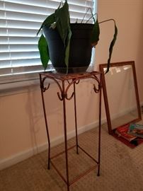 Plant Stand (we've Doctored the plant and she is recovering nicely)
