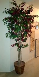 Nice Faux Ficus