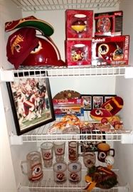 Anyone a Redskins Fan ??