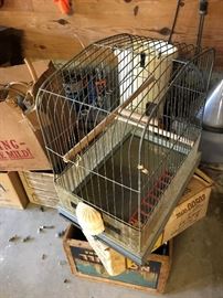Birdcage