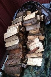 Stack of firewood - it's been stored under a tarp outside.