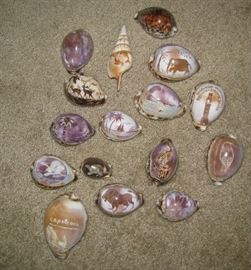 Carved shells