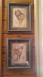 Lion and leopard pictures