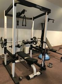 Nautilus Home Gym System with Utility Bench and lots of weights $600