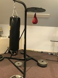 Everlast Punching Bag with Stand and SpeedBag..everything shown in photo except for disc weights...$75