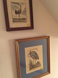 Hallway:  more colorful lithographs