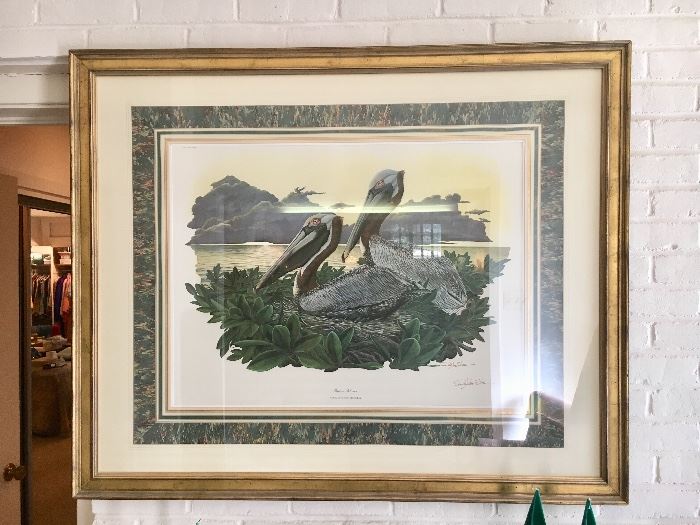 Richard Sloan “Brown Pelican”, matted and framed