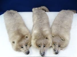 3 Mink Furs