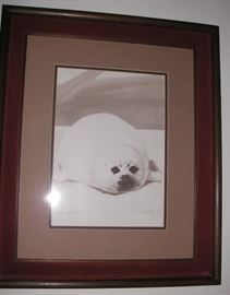 Listed artist: William E. Ryan "Baby Harp Seal" signed print