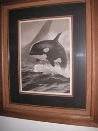 W E Ryann "Baby Orca" NW artist