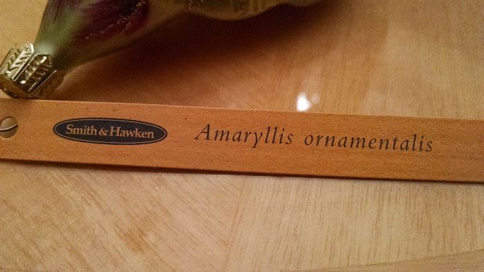 SMITH & HAWKEN  ORNAMENT...AMARYLLIS ORNAMENTALIS