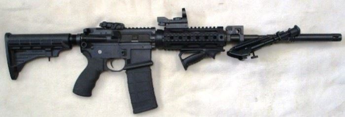 Franklin Armory AR-15 with Upgrades