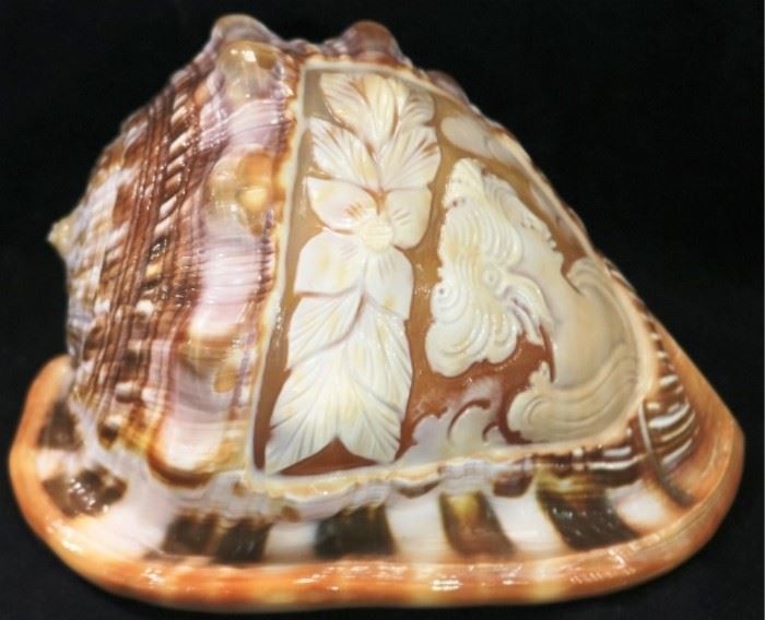 Cameo cut nautilus shell