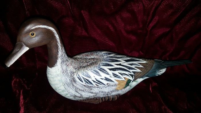 Northern Pintail Duck Decoy
By Taber