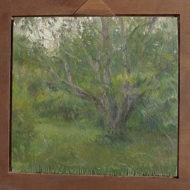 birch tree, oil
