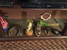 Horse shoes, small alligator heads, iguana, and other preserved species.