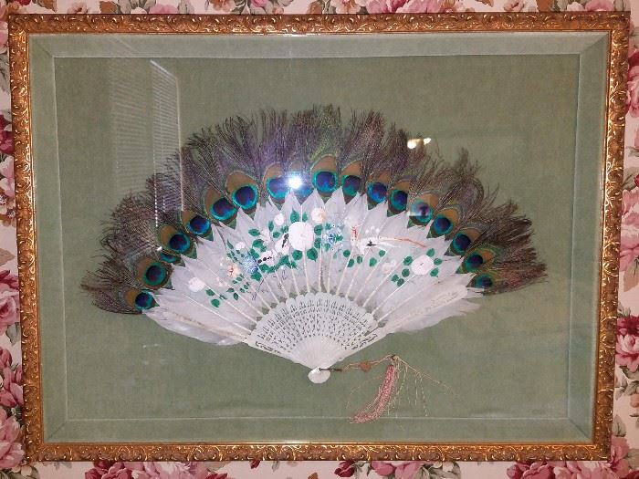 Framed feather fan.